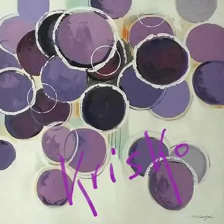 Krisko Parking Prive Et Clos 게스트하우스